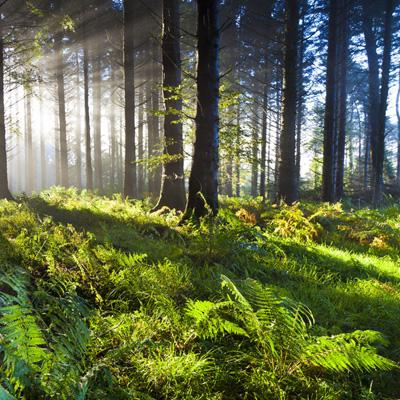 半岛·综合体育官方网站