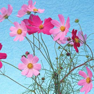 半岛综合app官网版登录